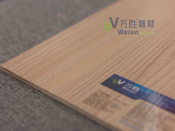 白蜡木 白蜡木